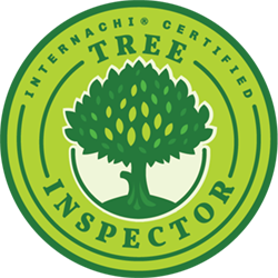 Tree Inspector